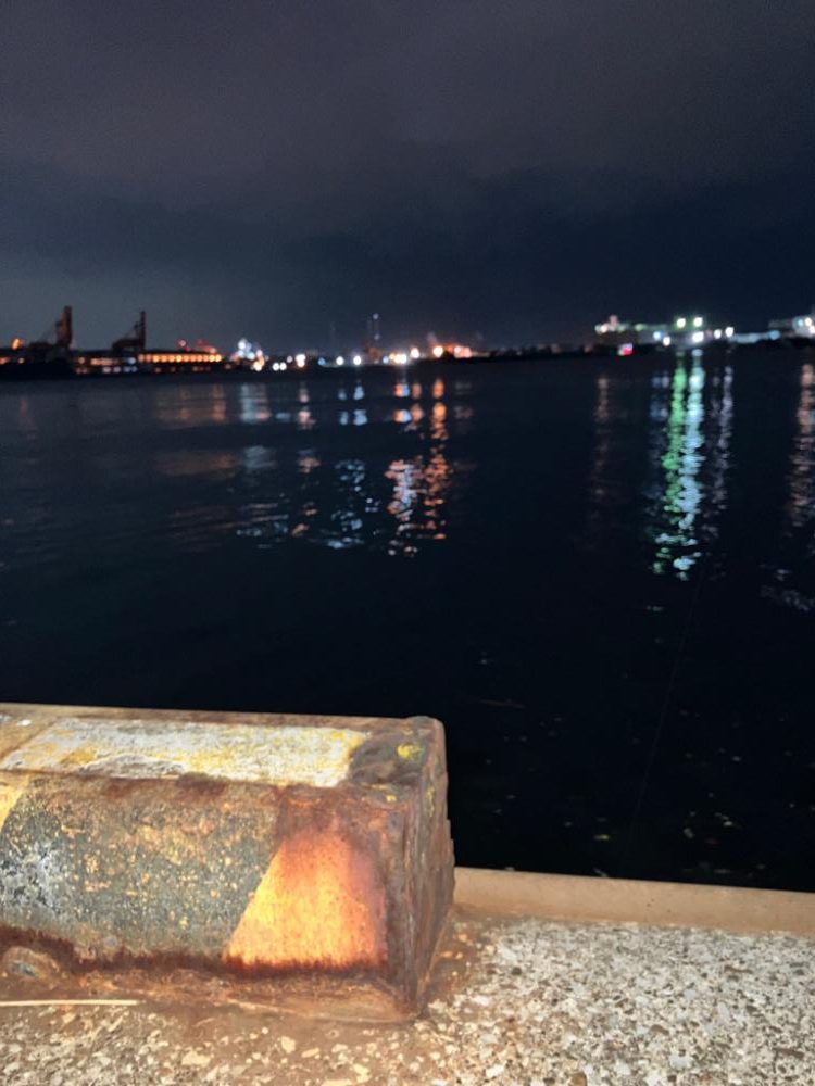 秋シーバスがスタートか？