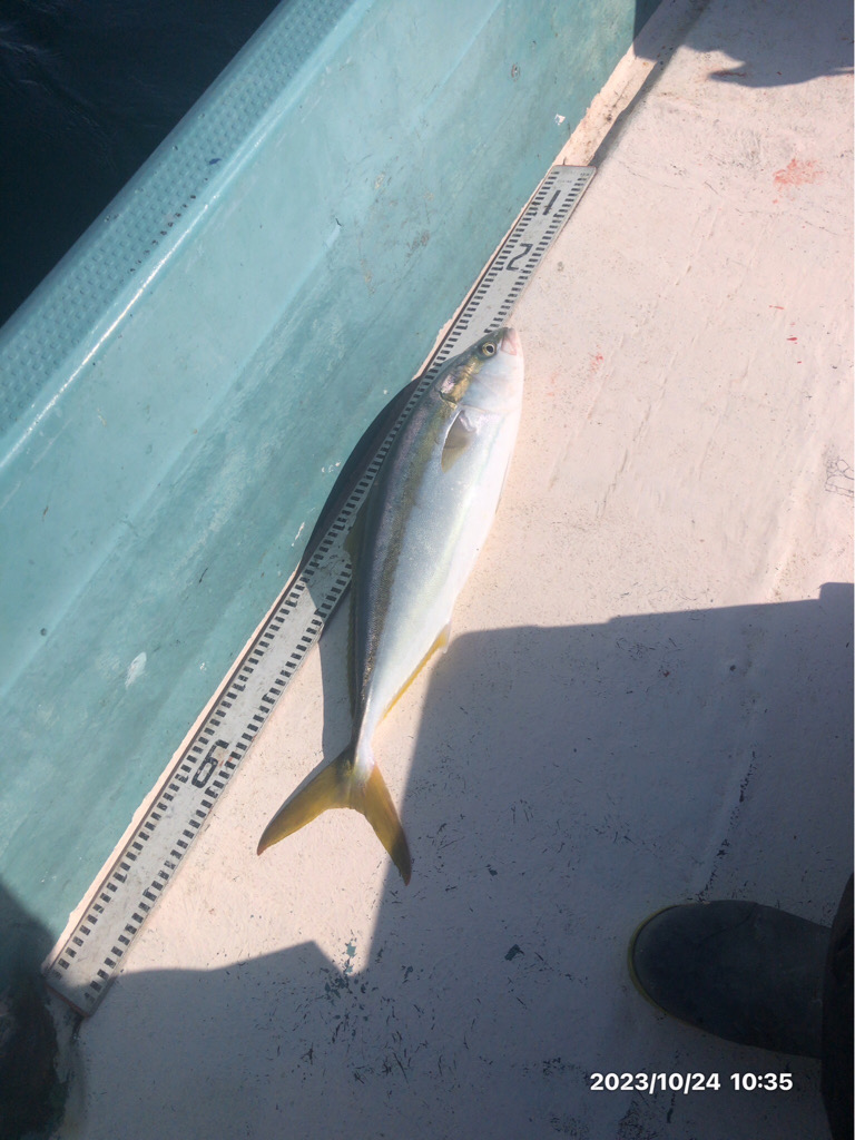 10/24 伊島沖ジギング