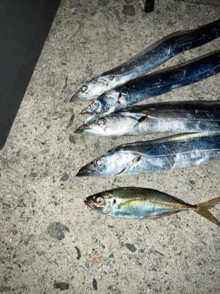 タチウオ電気ウキ釣り