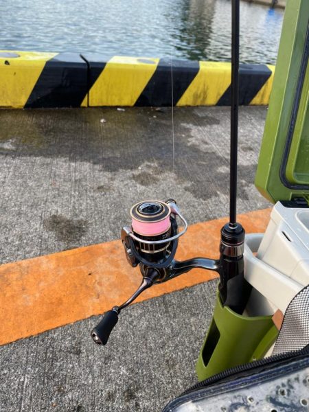 朝マズメアジング 好調25cm〜3匹