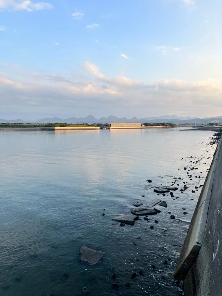 久々のチニング