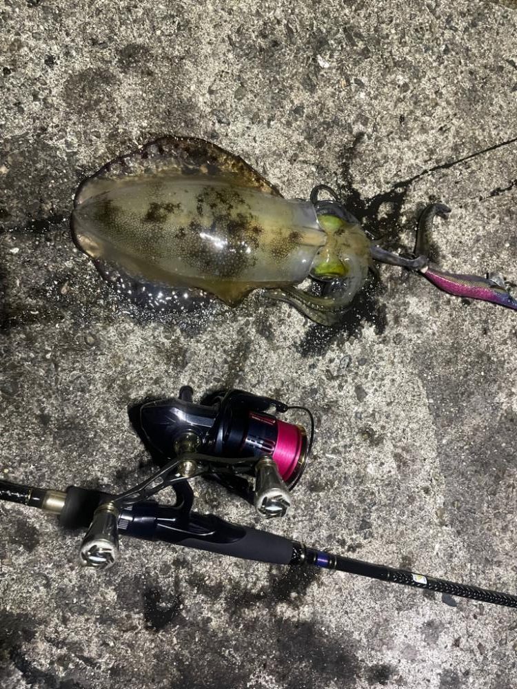 夜練ーエギング