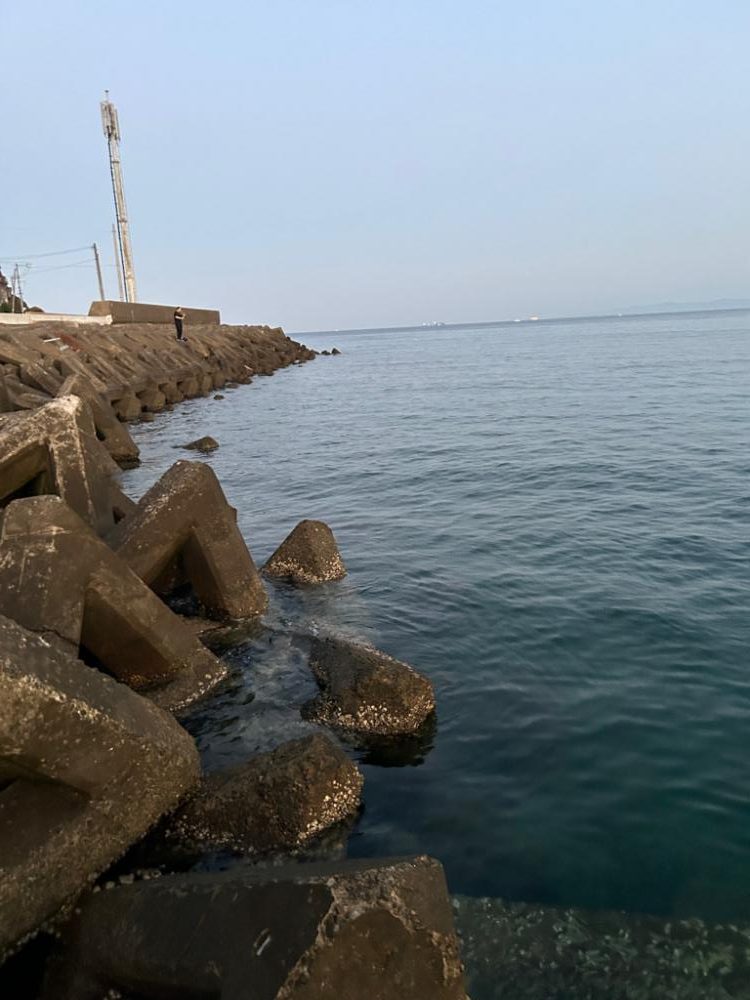 エギング朝まずめ勝負