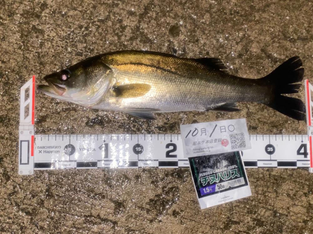 雨が降ったり止んだりの天気
