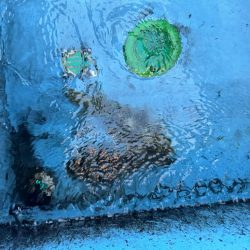 お友達と一緒に