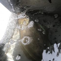 淡路島のティップラン