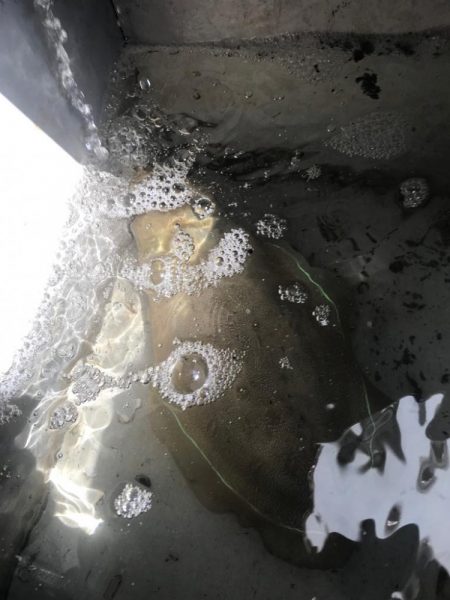 淡路島のティップラン