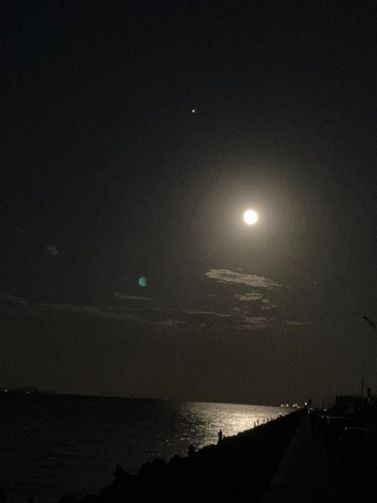 エギング　朝マズメは活性高い＼(^^)／