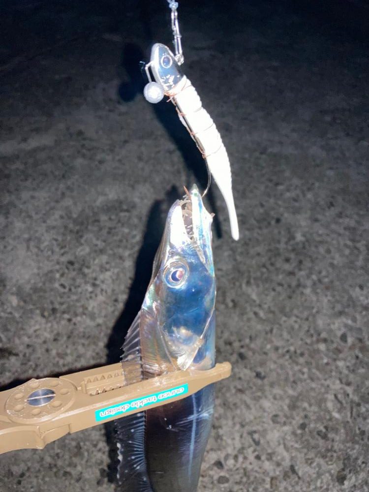 そろそろ入ってきたかな？