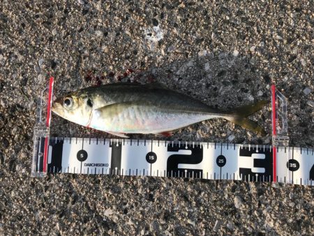 朝マズメ終わりに….