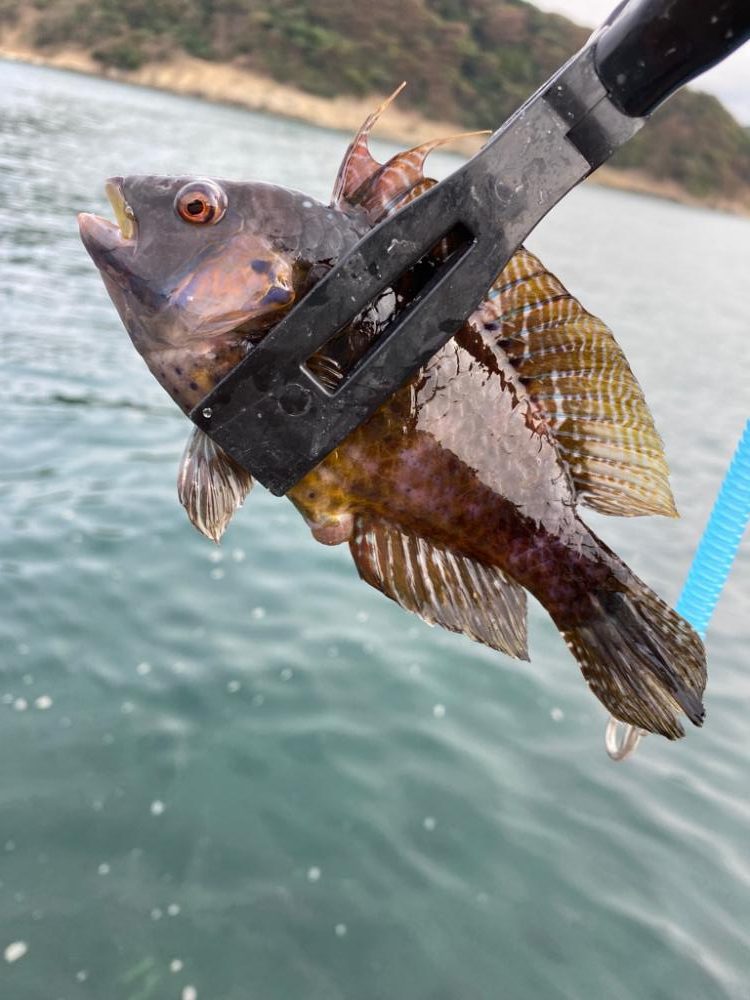 1日堤防釣行　エサ検証企画