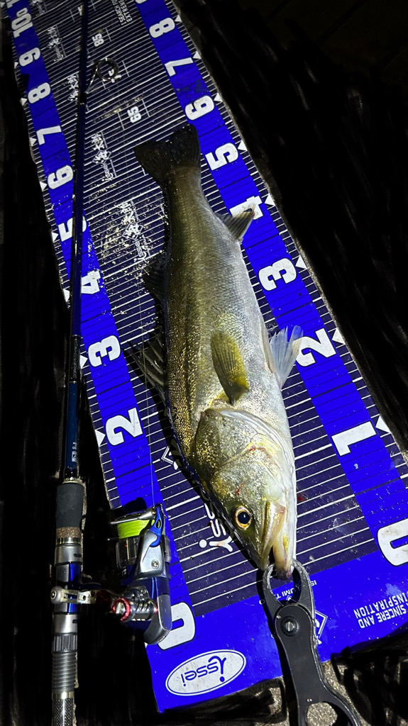 待ち伏せタイプ