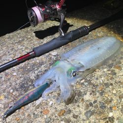 爆風、うねりの中ナイトエギングσ(^_^;)