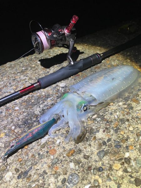 爆風、うねりの中ナイトエギングσ(^_^;)