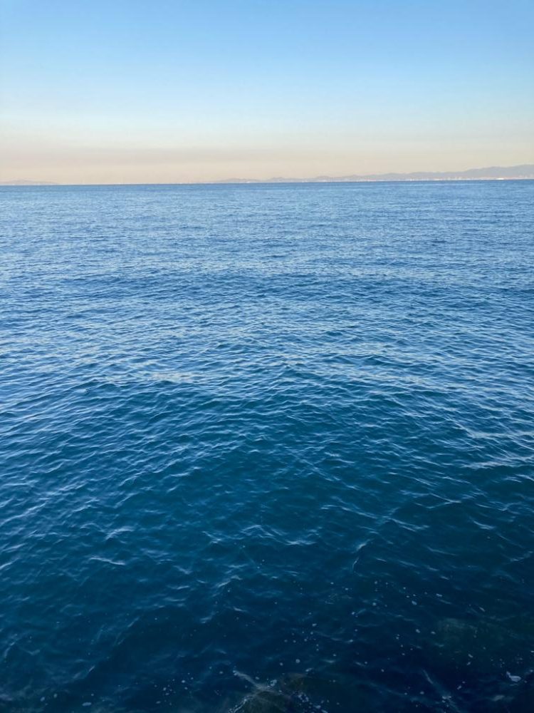 ショアジギングでサゴシ