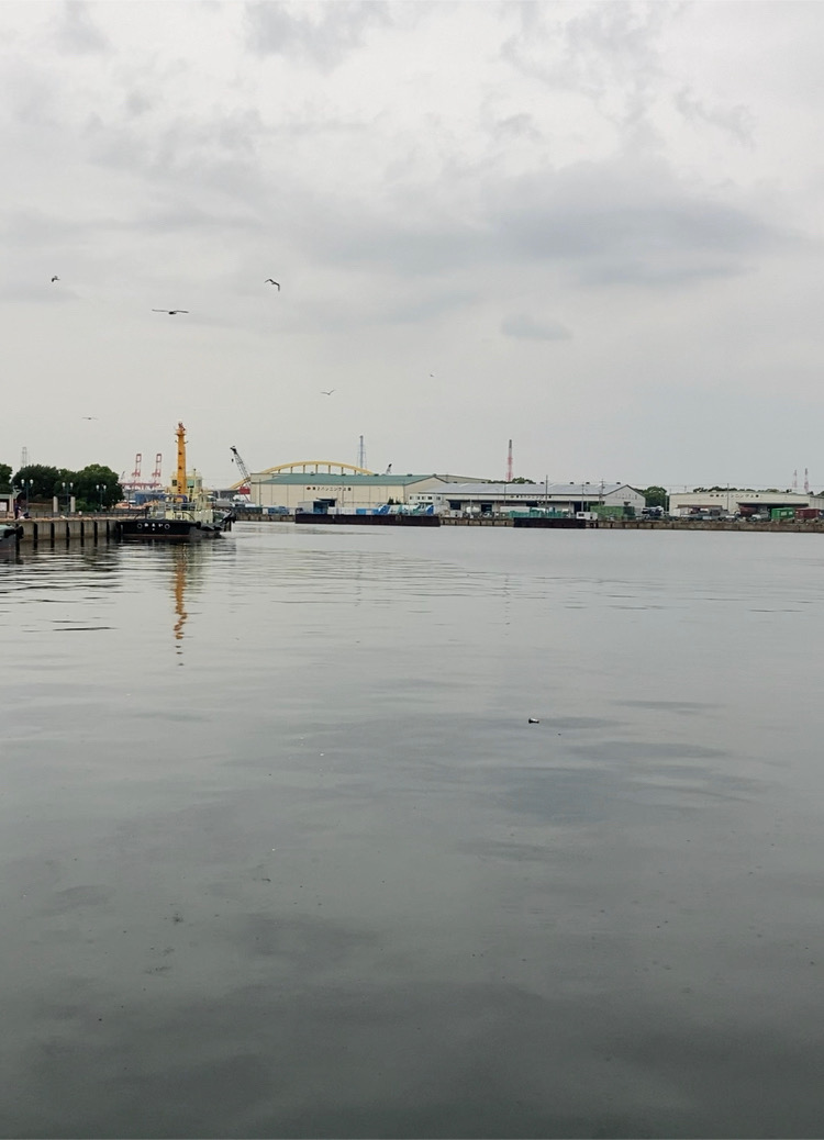 ⭐️マイワシチャレンジ成功