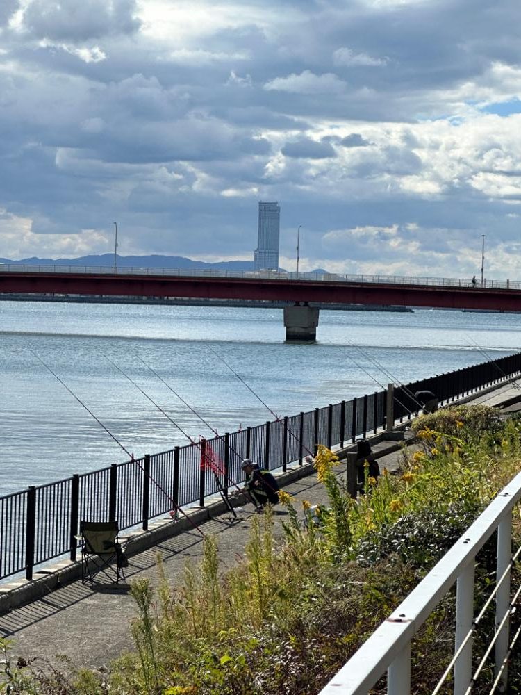カレイ、五目釣り