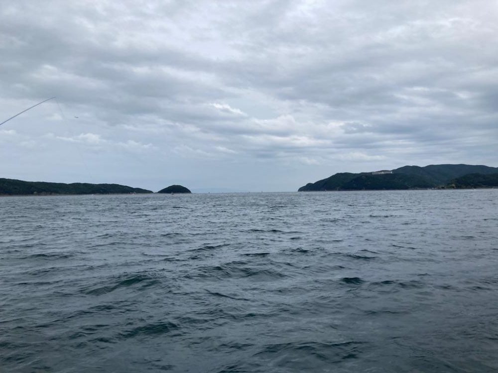 サビキで釣れた