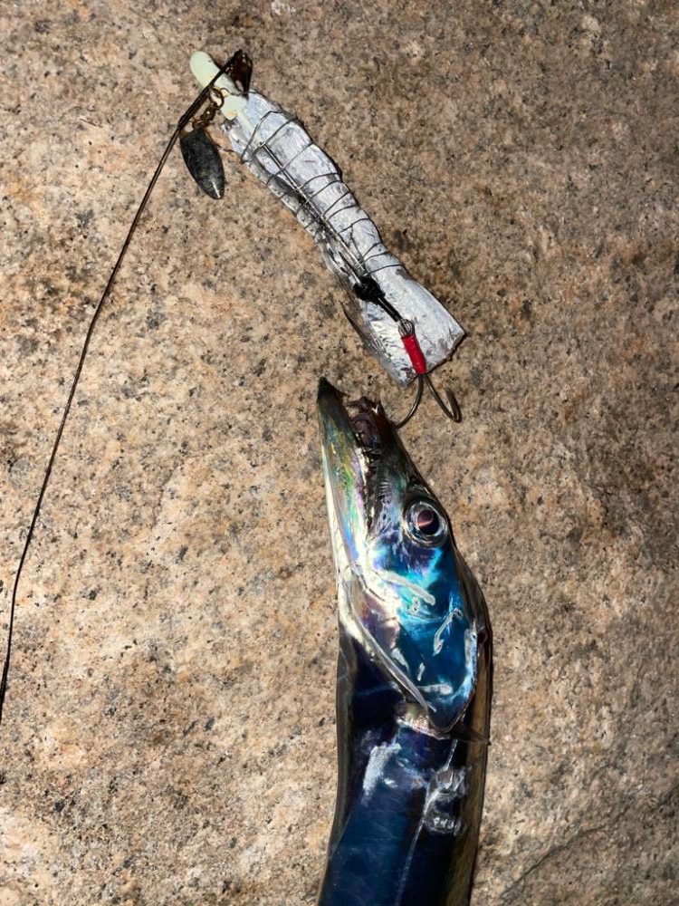 相変わらずのバラシ。