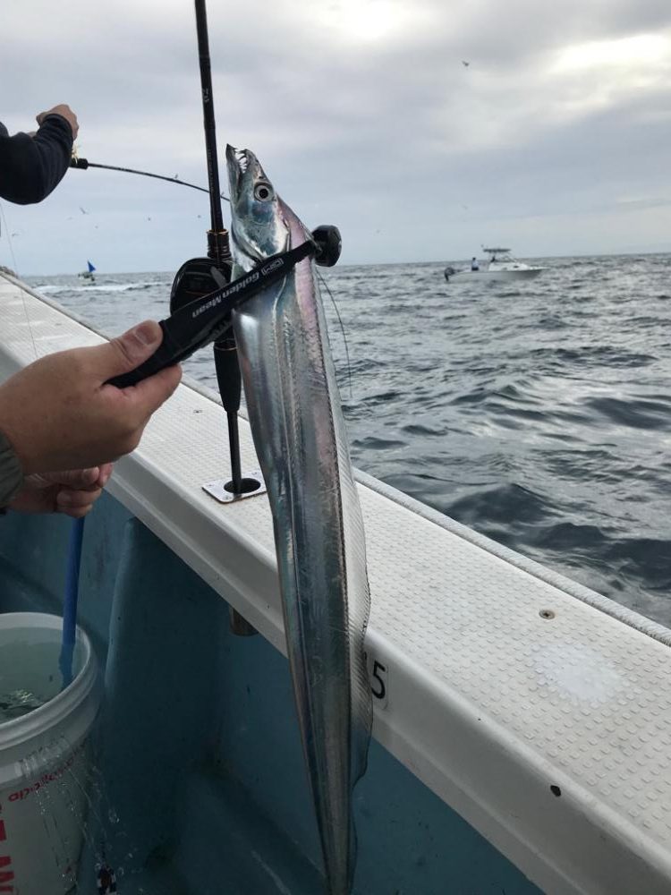 タチウオジギング