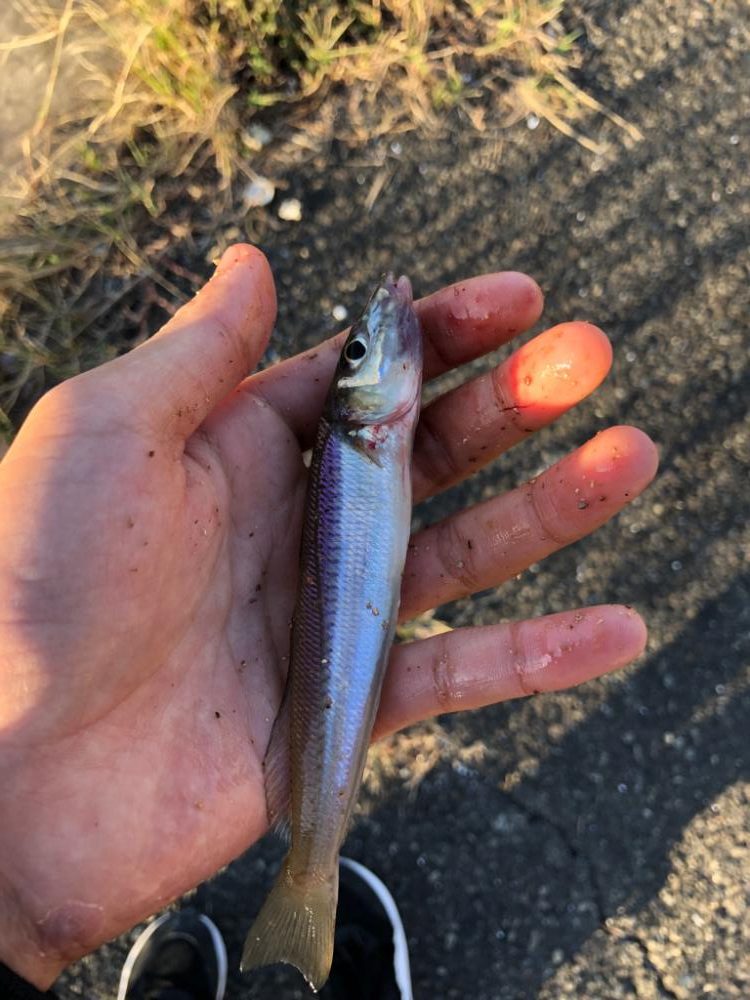 久々の名古屋港