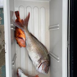 ジギングシーズン開幕