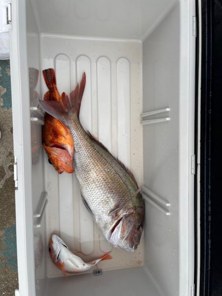 ジギングシーズン開幕