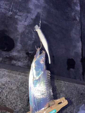 ここはパラダイスか?