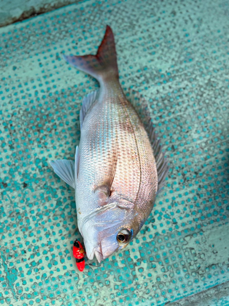 根魚パラダイス
