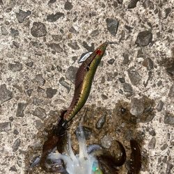 キロアップ！！