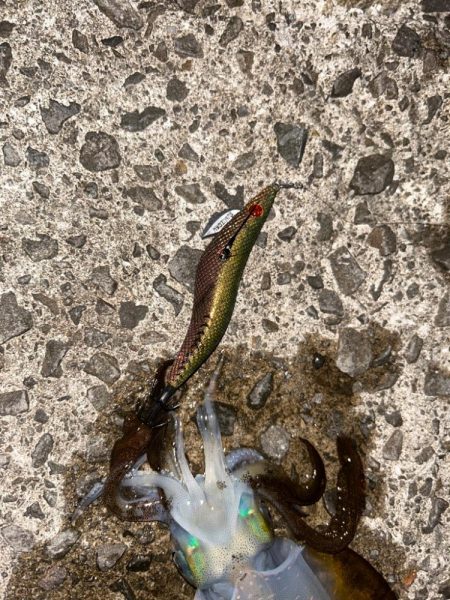 キロアップ！！