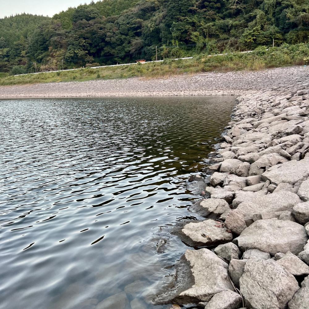 夕まずめにて🌆