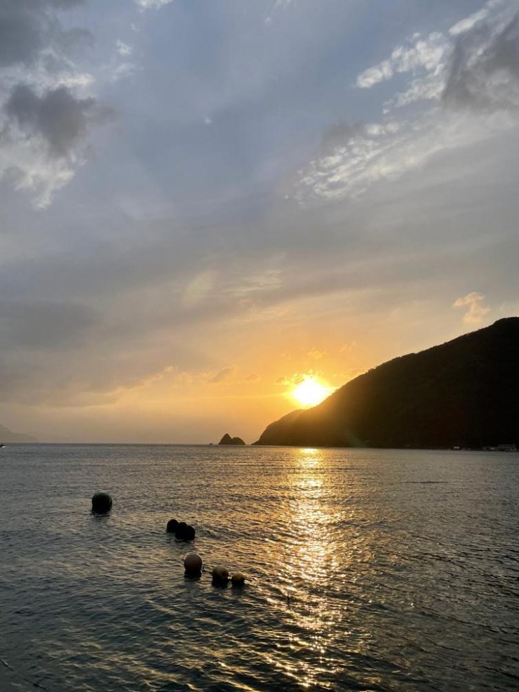 まだ釣れるけどやっぱりフグも居る