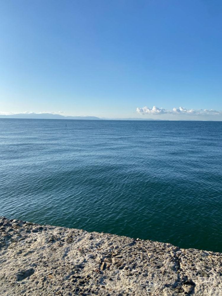 フックのメンテは必要！？