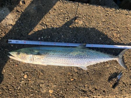 今日は釣れるかなぁ〜？