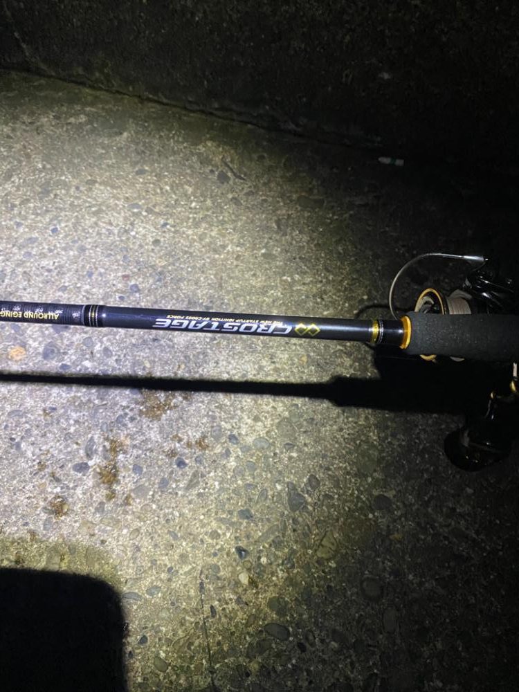 短時間エギング