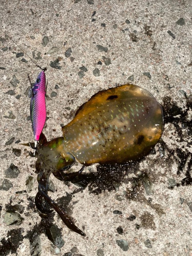 曇りのち、強風のち、雨。