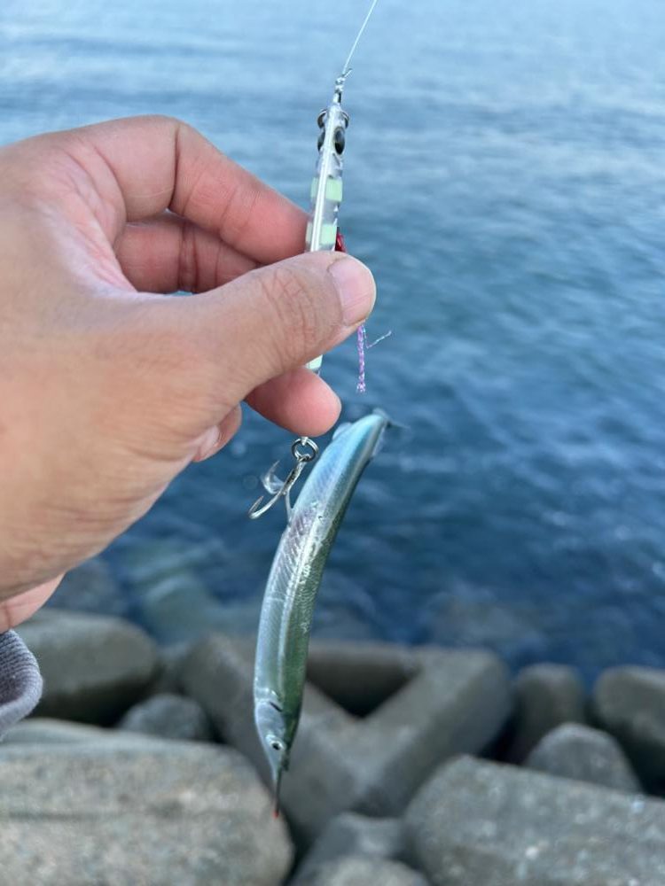 ショアジギングとライトゲーム