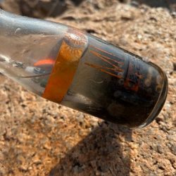 退屈しない程度に釣れて良い感じ♪