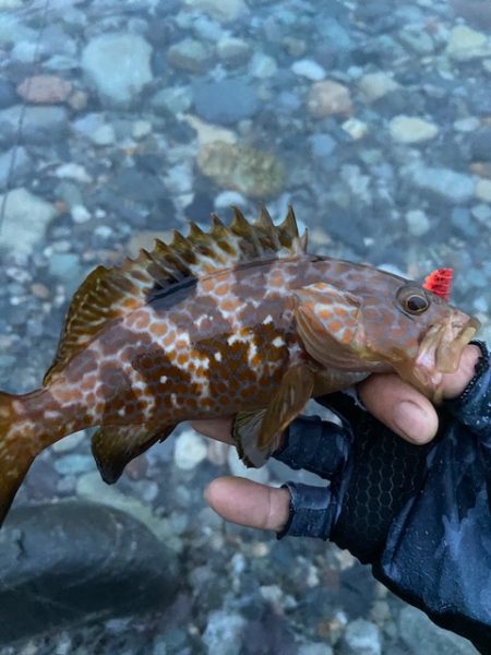 釣り方がダメなのか？