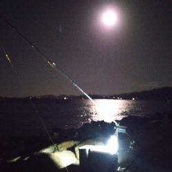 苅屋海岸のキス釣り