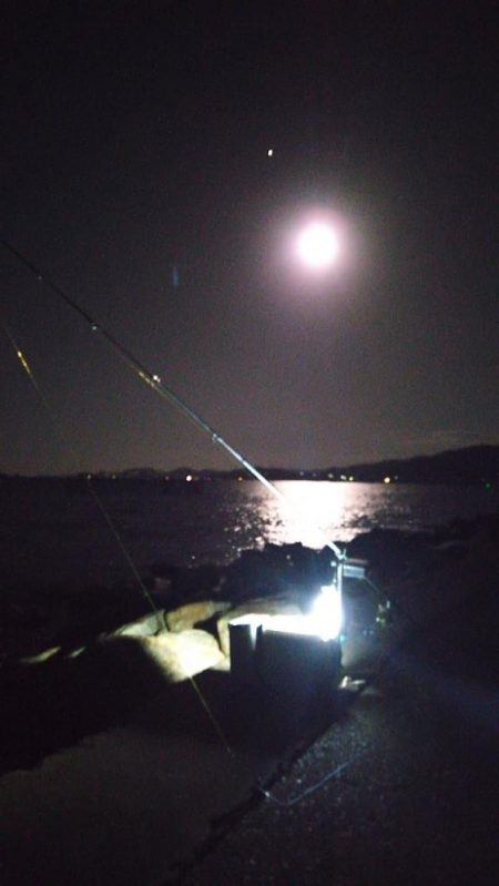 苅屋海岸のキス釣り