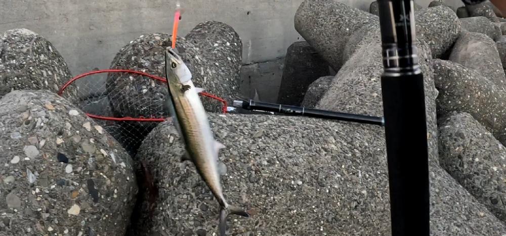 ここにもキタ━━━( ̄∀ ̄)━━━ッ!!!