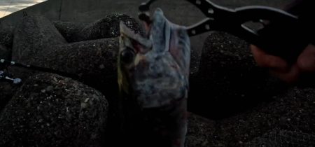 ﾅﾝﾃｺｯﾀ(๑°ㅁ°๑)‼…