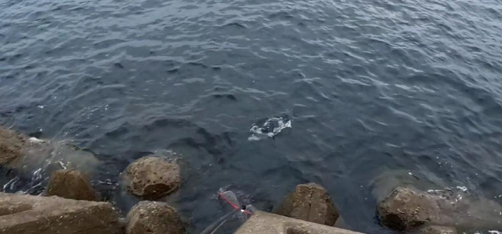 シーズン本格化?