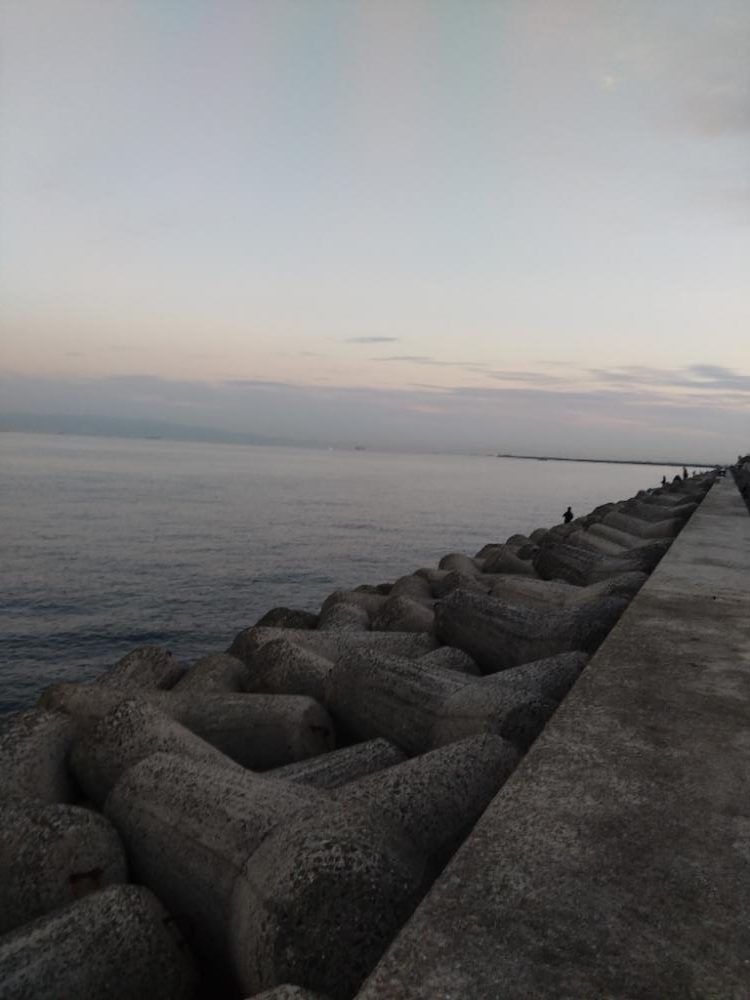 朝マヅメにメジロ