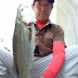 プチsalt water game