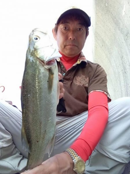 プチsalt water game