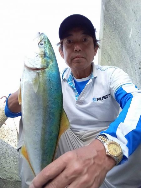 プチsalt water game