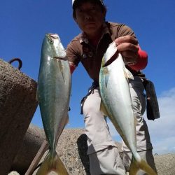 プチsalt water game